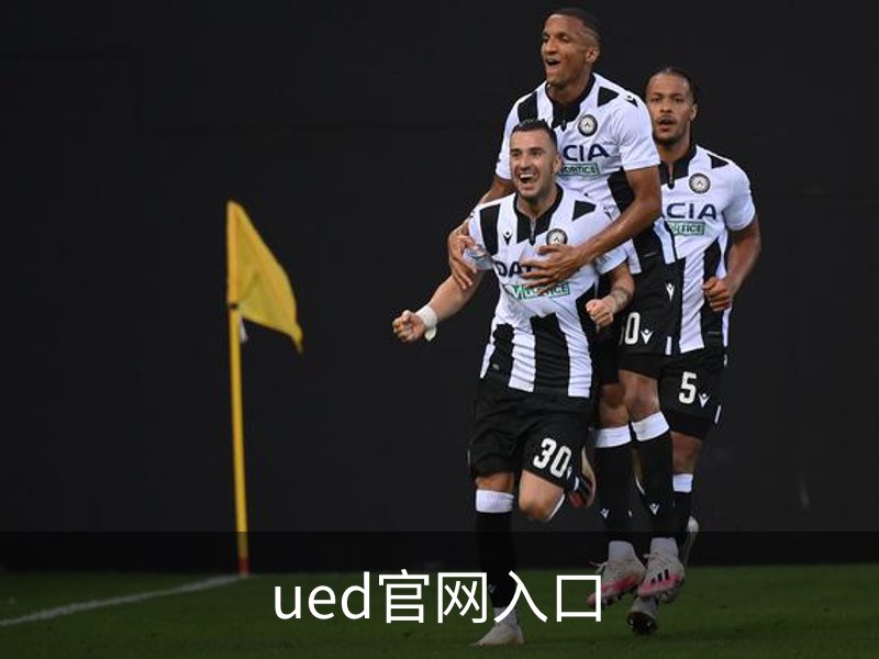 ued官网入口概况